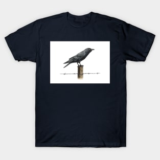 Country Crow T-Shirt